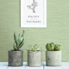 Online Brewster 3117-24284 Agave Green Faux Grasscloth Wallpaper