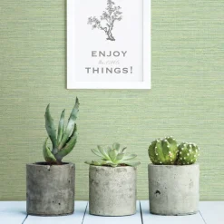 Online Brewster 3117-24284 Agave Green Faux Grasscloth Wallpaper