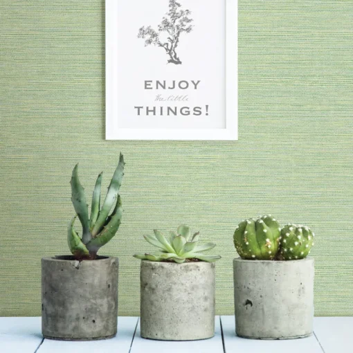 Online Brewster 3117-24284 Agave Green Faux Grasscloth Wallpaper