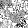 Best Brewster/ASP 2903-25853 Alannah Black Botanical Wallpaper