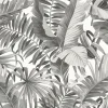 Outlet Brewster/ASP 2969-24134 Alfresco Grey Tropical Palm Wallpaper