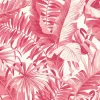 Sale Brewster/ASP 2969-26054 Alfresco Pink Tropical Palm Wallpaper