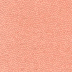 Sale Regal Arno Coral Fabric