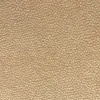 Outlet Stock/Regal Arno Saffron Chenille Dot Regal Fabric