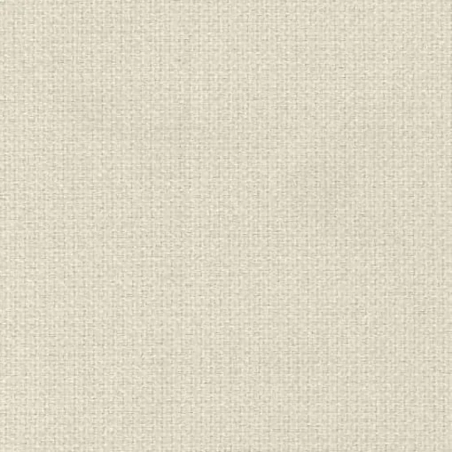 Fashion Regal Asset Vanilla Fabric