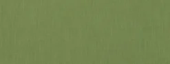 Hot Covington Belfast Backed 232 Palm Fabric