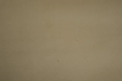New Stock/Closeout Bella Toast Morgan Fabric