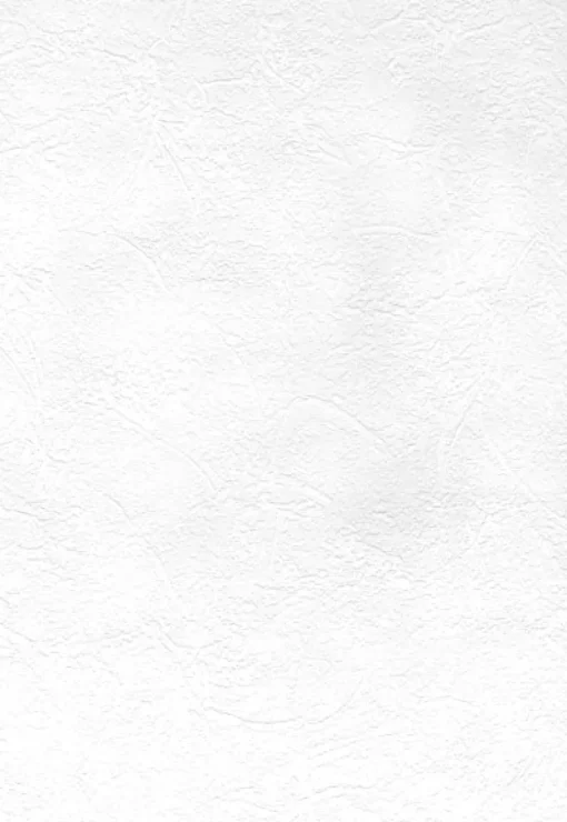 Outlet Brewster Cale Paintable Slap Trowel Plaster Wallpaper
