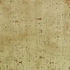 Best PKaufmann_inc/PK City Lights Tussah P/Kaufmann Fabric