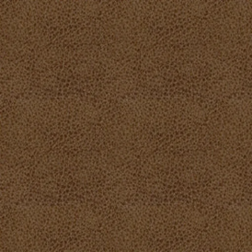 Fashion Vision Claro 8009 Amber Fabric