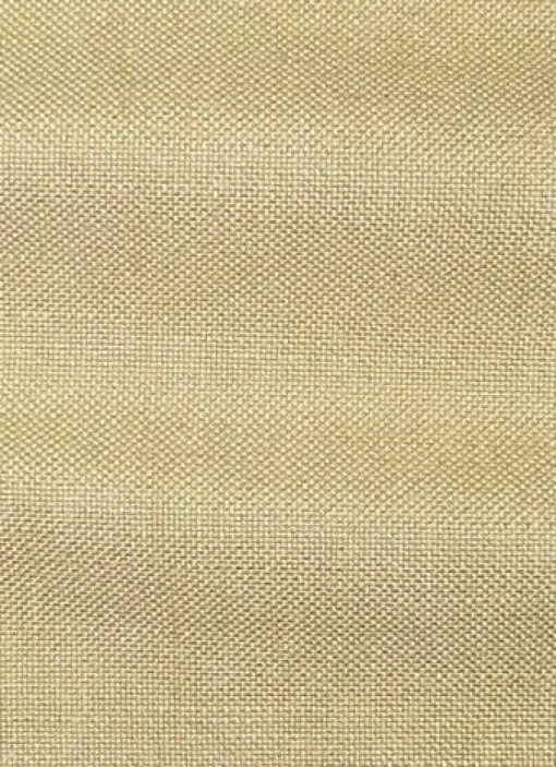Clearance Valdese Evere Sisal Fabric