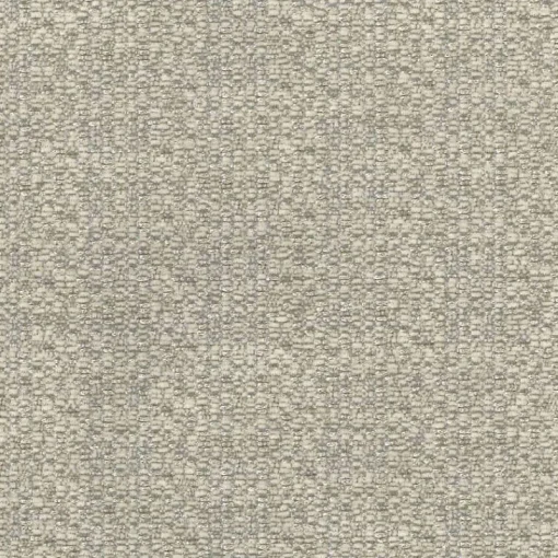Hot Regal Exchange Birch Fabic