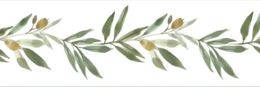 Online York FH4099BD Green Olive Branch Border