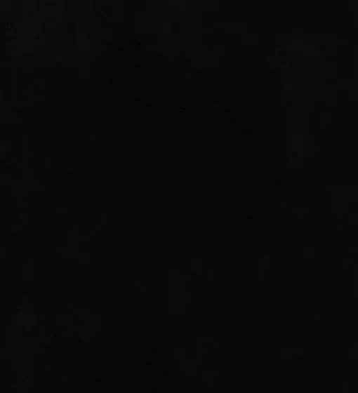 Fashion PKaufmann_inc/PKL Furocious 404778 Panther PKL Studio Fabric