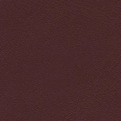Outlet Vision Grand Prix 9460 Cranberry Fabric