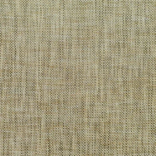 Online PKaufmann_inc/PK Groupie Toast Pkaufmann Fabric