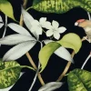 Clearance Covington Hello Polly 99 Onyx Fabric