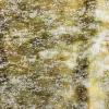 Discount SMC/TFA High Drama Moss Swavelle Mill Creek Fabric