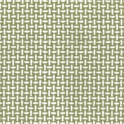 Hot Stock/Regal Hither Sage Regal Fabric