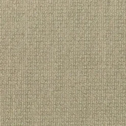 New Regal Interest Wheat Fabric