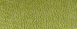 Fashion Covington Jelly Beanz 25 Olive Fabric