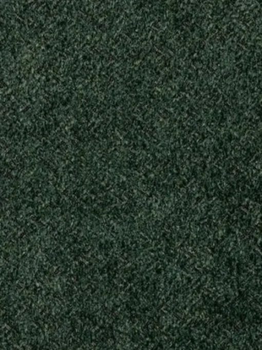New Crypton Jennie Fern Fabric