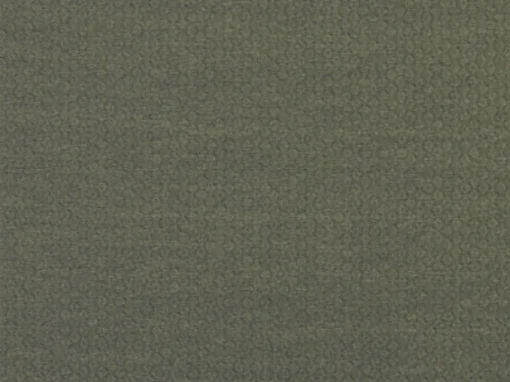Fashion Covington Komodo Stone Fabric
