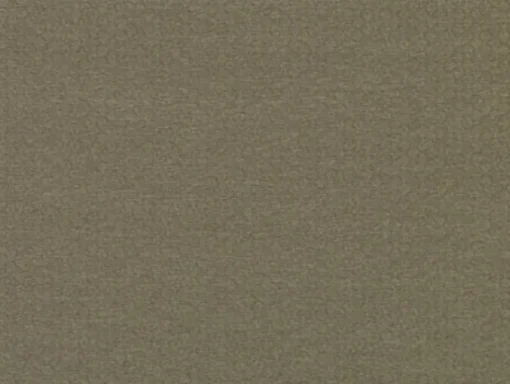 Fashion Covington Komodo Taupe Fabric
