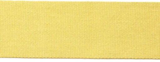 Best Europatex Le Lin 2" Tape Gold Trim