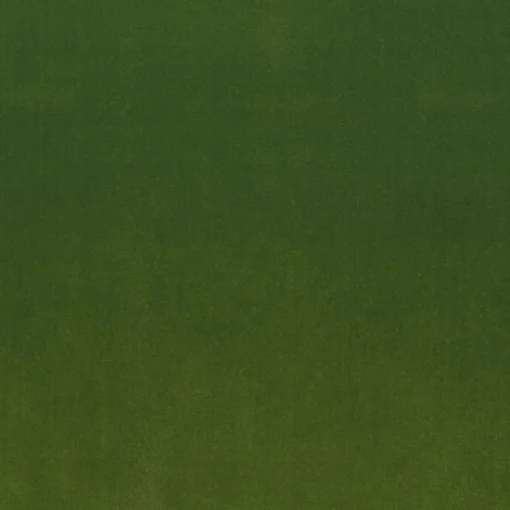 Hot Stock/Regal Linden Lime Regal Fabric