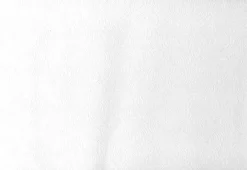 Clearance Brewster Malkmus Paintable Shell Texture Wallpaper