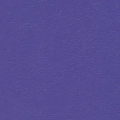 Discount Vision Navigator NAV 9907 Purple Passion Fabric