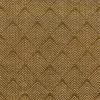 Outlet Stock/Regal Novel Topaz Regal Fabric