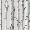 Hot Stock/Brewster NU1650 Grey White Birch Tree Peel & Stick Wallpaper
