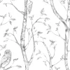 Online Brewster NU1412 Grey Woods Peel And Stick Wallpaper