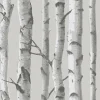 Best Brewster NU1694 Mountain Birch Grey Peel and Stick Wallpaper