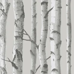 Best Brewster NU1694 Mountain Birch Grey Peel and Stick Wallpaper