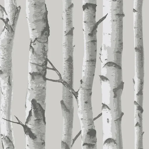 Best Brewster NU1694 Mountain Birch Grey Peel and Stick Wallpaper