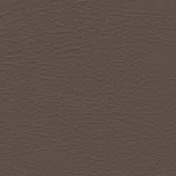 Hot Vision Nuance 2463 Med. Neutral Fabric