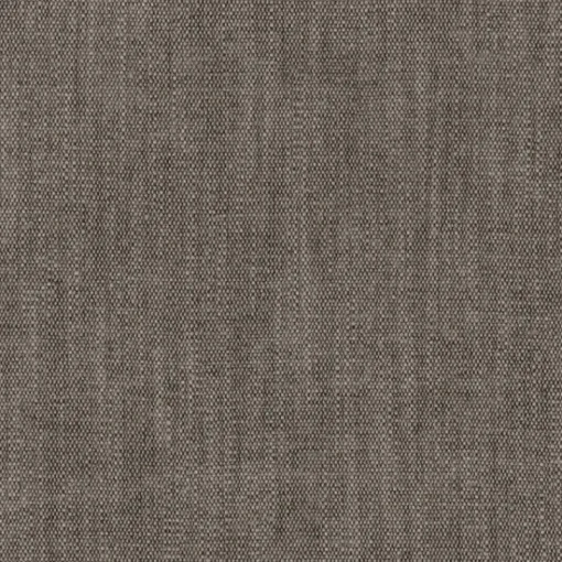 Fashion Regal Nuance Mink Fabric