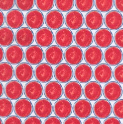 New Tempo OD One In A Melon Summer Fabric