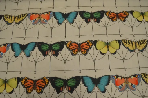 Online Stock/Hamilton Papillon Carnival Hamilton Fabric