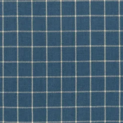 Discount Regal Patel Wedgewood Fabric