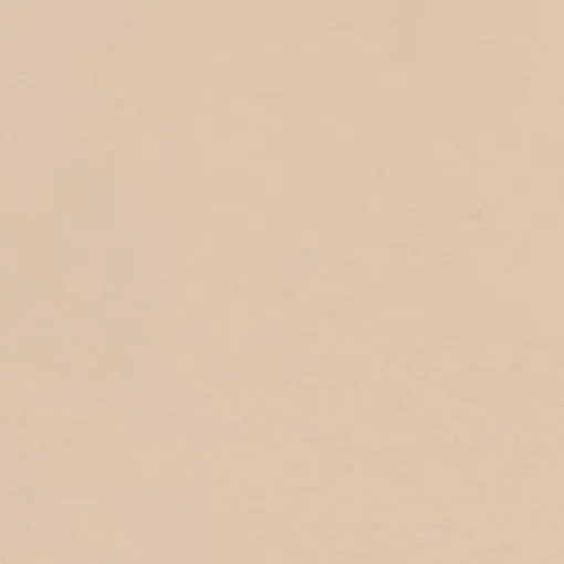 New Vision Pegasus 1616 Sand Dollar Fabric