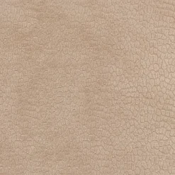 Best PKaufmann_inc/PKL Perf Pebblestone Ballet P/K Lifestyles Fabric