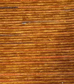 Online PKaufmann_inc/PK Perf Wayside Spice P/Kaufmann Fabric