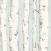 Best Brewster 3118-12602 Pioneer Light Blue Birch Tree Wallpaper