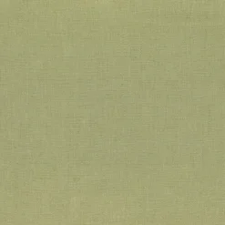 Hot Regal Pisab October Mist Fabric