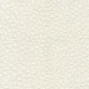 Hot Regal Pounce Cream Fabric