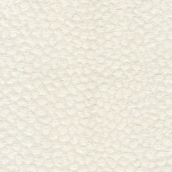 Hot Regal Pounce Cream Fabric